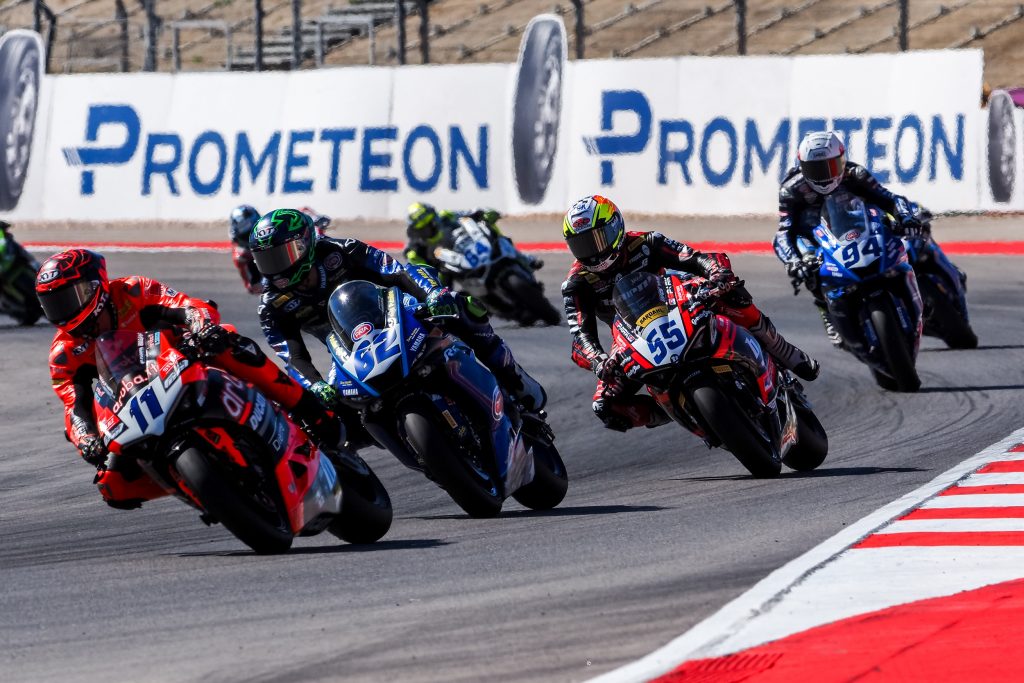bulega wssp