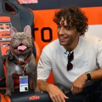 enea and his dog