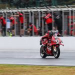 Bulega swimming over line